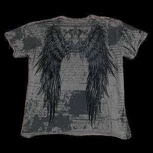 Crazy Set Of Wings On